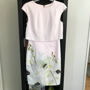 Ted Baker London Classic Style Pink Floral Fitted Dress.